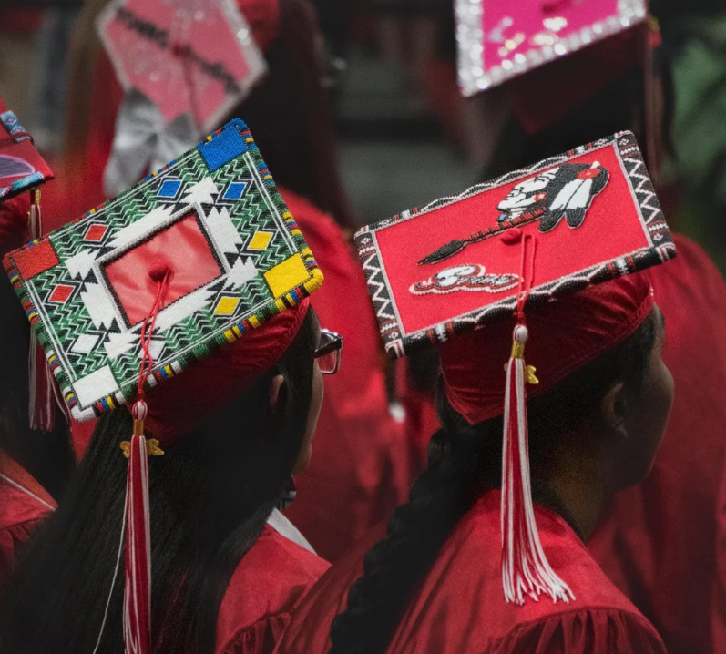 Read more about the article Higher Education updates