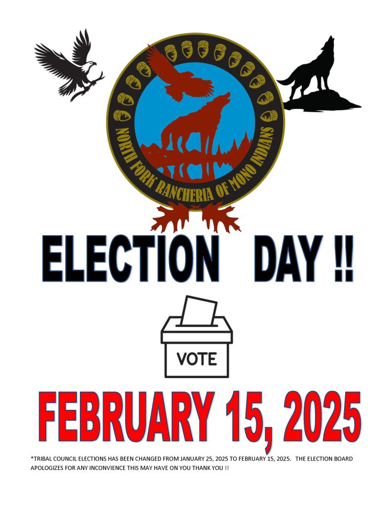 election flyer