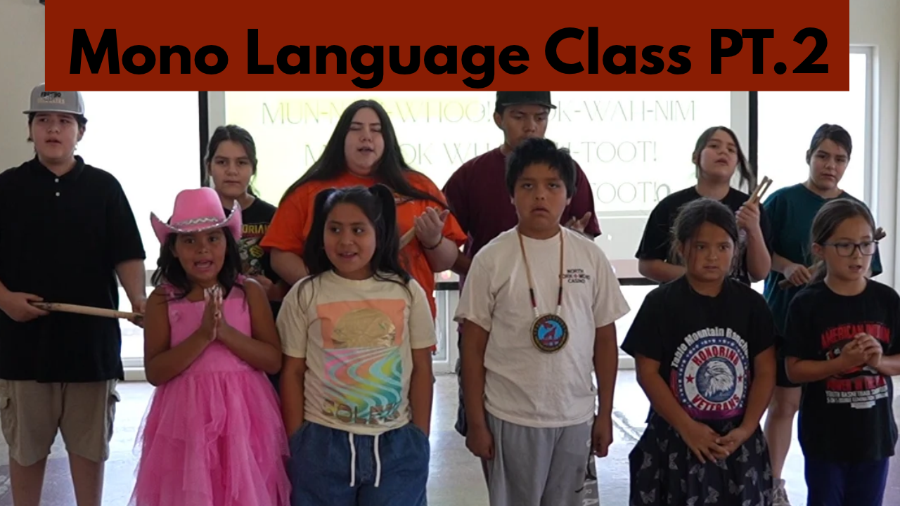 Read more about the article DCFS: Mono Language Class PT.2