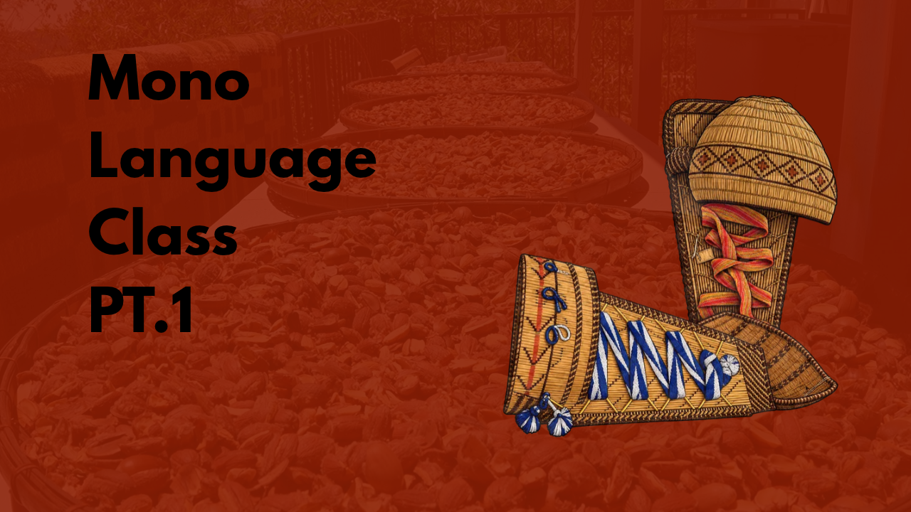 Read more about the article DCFS: Mono Language Class PT.1