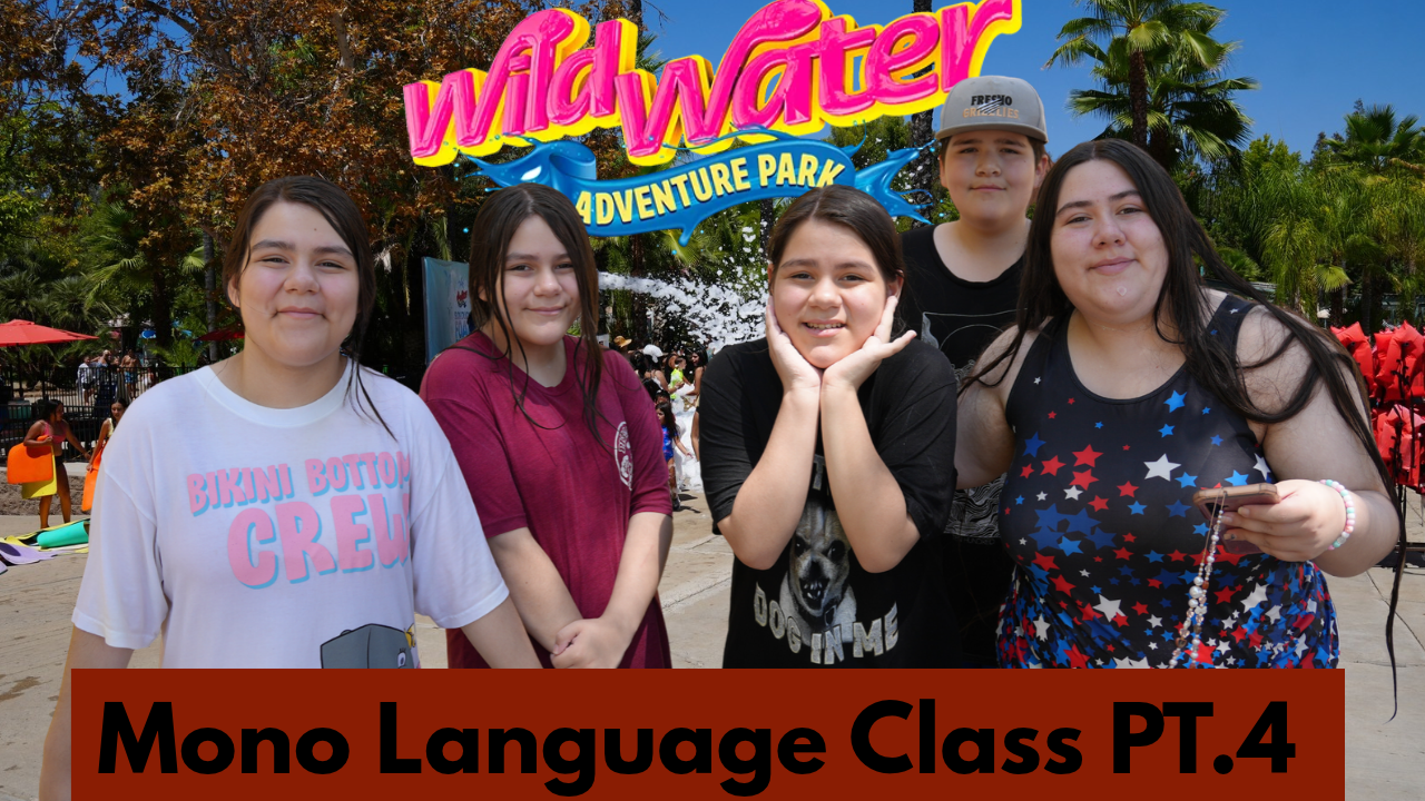 Read more about the article DCFS: Mono Language Class PT.4