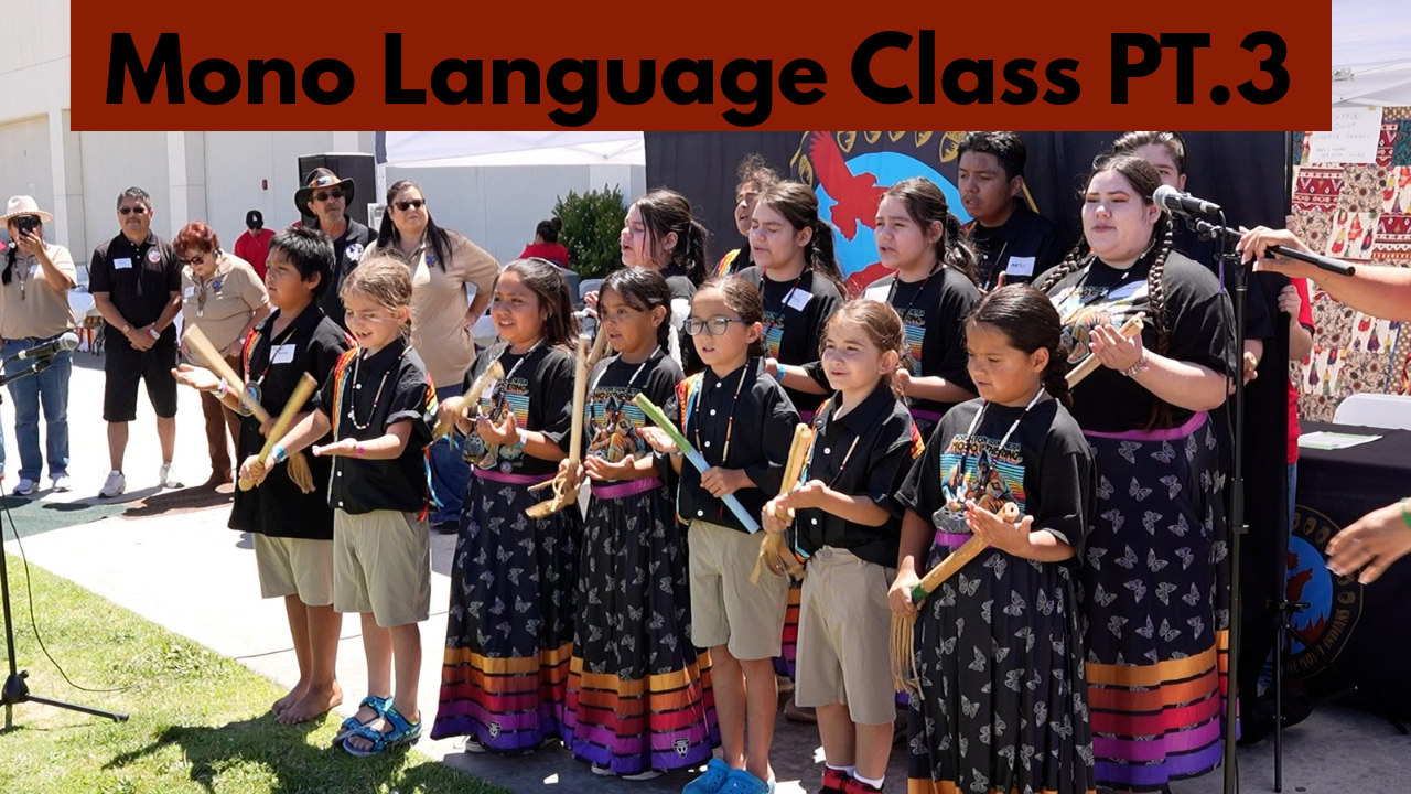 Read more about the article DCFS: Mono Language Class PT.3